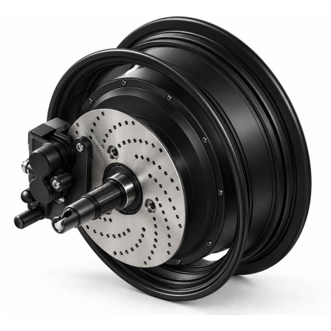 3 kW Brushless Geared Electric Hub Motor