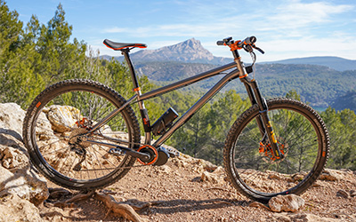 Pino phose kit trail 250W roue arrière_1.jpg